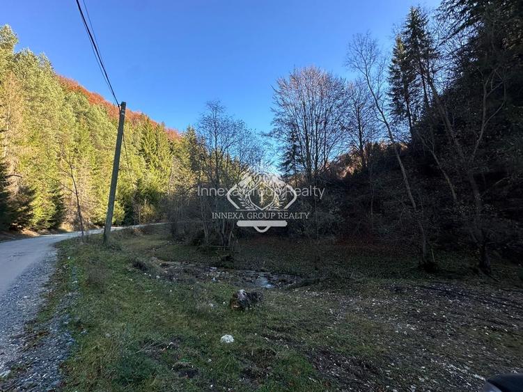 Teren 2.882 mp – oportunitate investitie - Cheile Dâmbovicioarei - 15