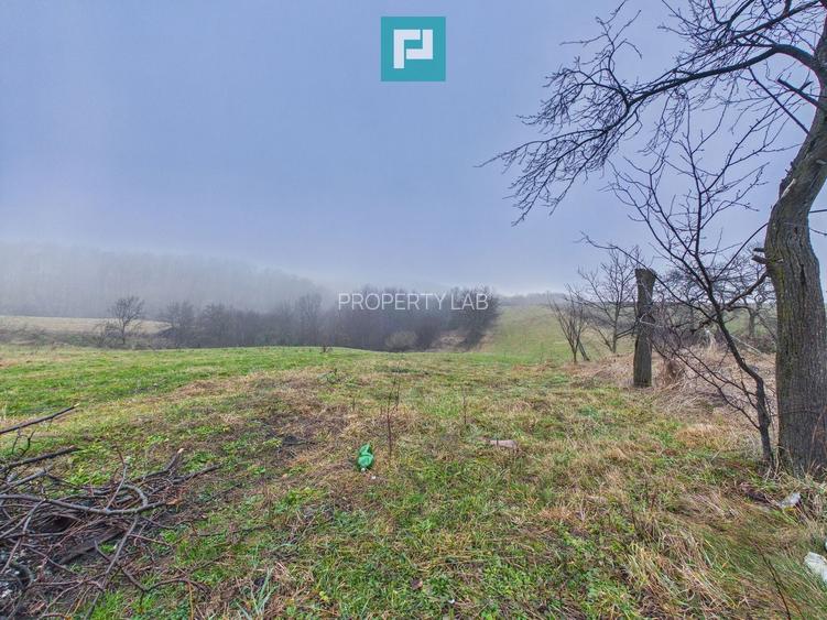 Casă și teren 5.000 mp în Poiana-Tășad, Bihor - 9