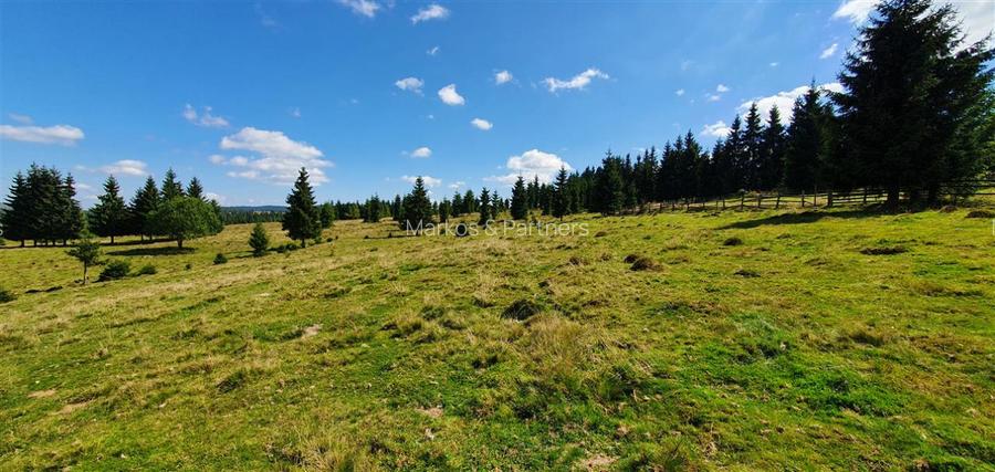 Oportunitare | Teren 1ha cu PUZ | Belis - 8