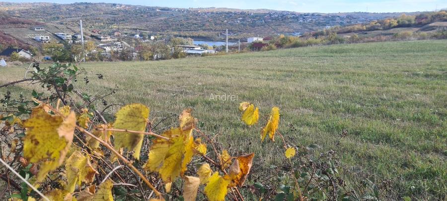 Casa  cu panorama  lac si 1500 mp teren – Hanul Pescarilor, aproape de Oradea - 8