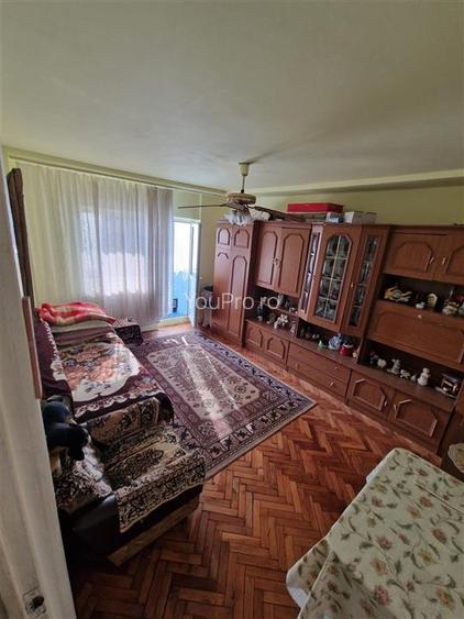 Apartament spatios cu 1 camera zona Blascovici - 12