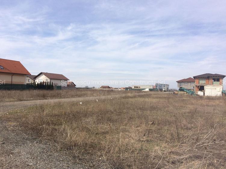 TEREN 665 MP  ZONA METRO II - 4