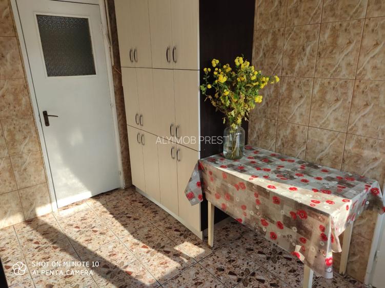 INCHIRIERE 3 CAM SEBATIAN- NEDELEANU ION - 8