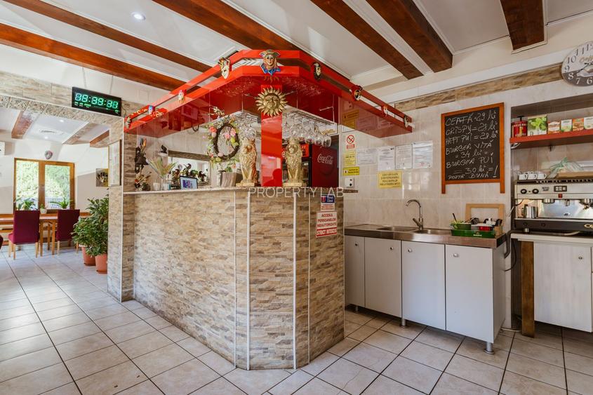 Afacere HoReCa de preluat – Pizzeria Venezia, Arad - 8
