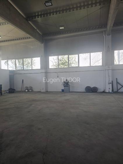 Hala de inchiriat. Depozitare sau productie. - 4