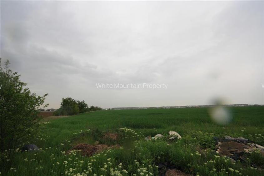 Teren 12500 mp, de vanzare, Tunari, negociabil - 2