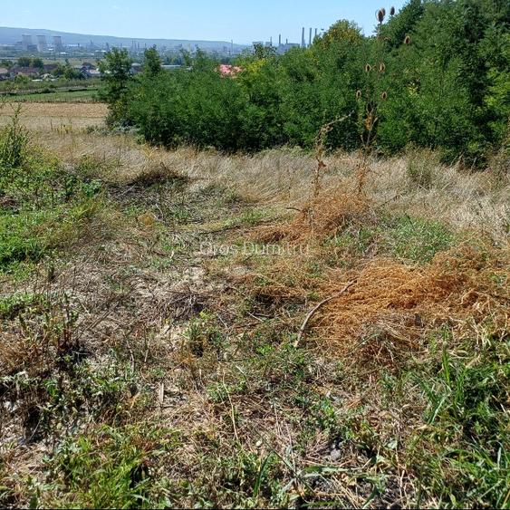 Teren vânzare Vâlcea  - 6