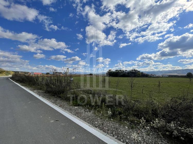 Teren industrial de vânzare în Cristian – 6.000 mp, deschidere la drum asfaltat - 4