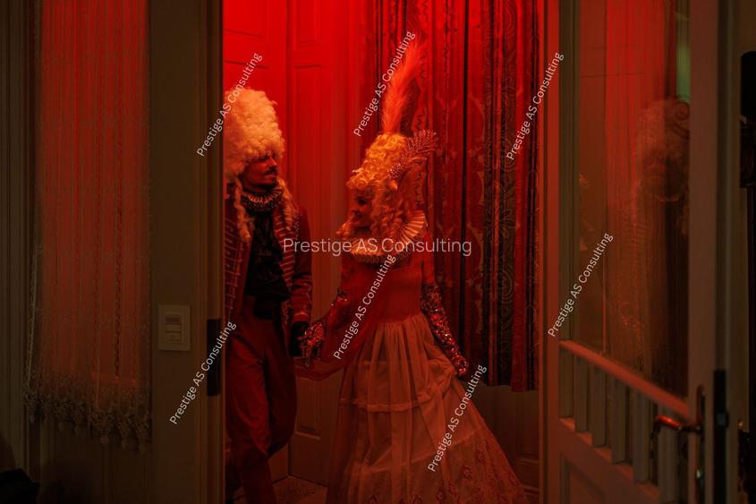 Resedinta patrimoniala de 222 mp | Piata Victoriei | Cladire istorica-Lift - 12