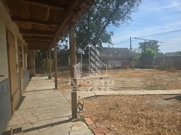 Casa cu teren in localitatea Simand - 3
