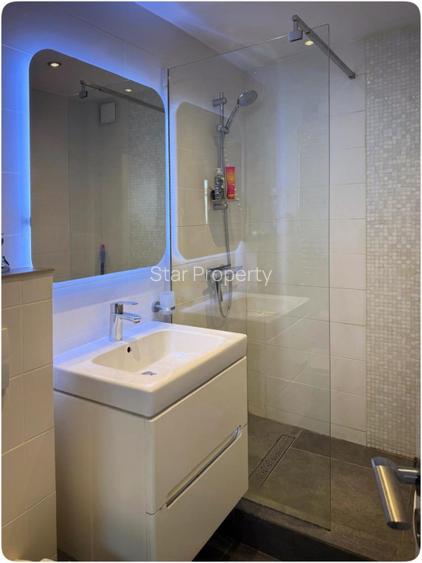 Vilă cu 3 apartamente independente si gradină mare în Cotroceni - 15