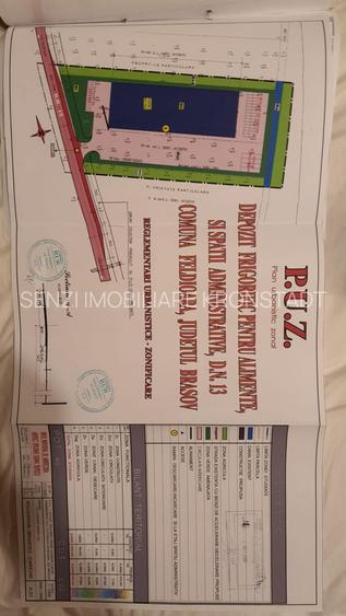 Teren cu PUZ industrial la DN 13 - 4