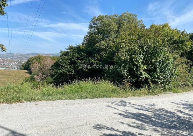 OPORTUNITATE UNICA, Teren inravilan strada Uliului 17234 mp  - 3