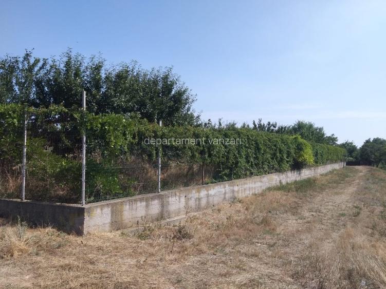 Poiana- str. Cerealelor, teren intravilan curti constructii 3417 mp de vanzare - 4