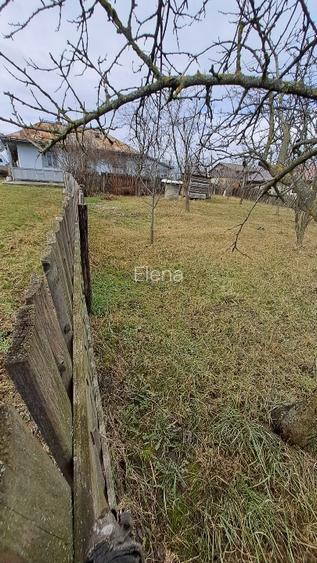 Casă locuibilă și teren generos 3933 mp – Com Curtești, Sat Curtești - 10