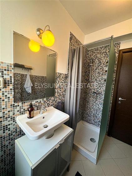 Apartament de inchiriat 3 camere Herastrau - 26