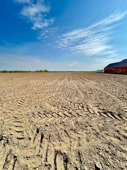 Teren intravilan – Oșorhei | 2878mp - 3