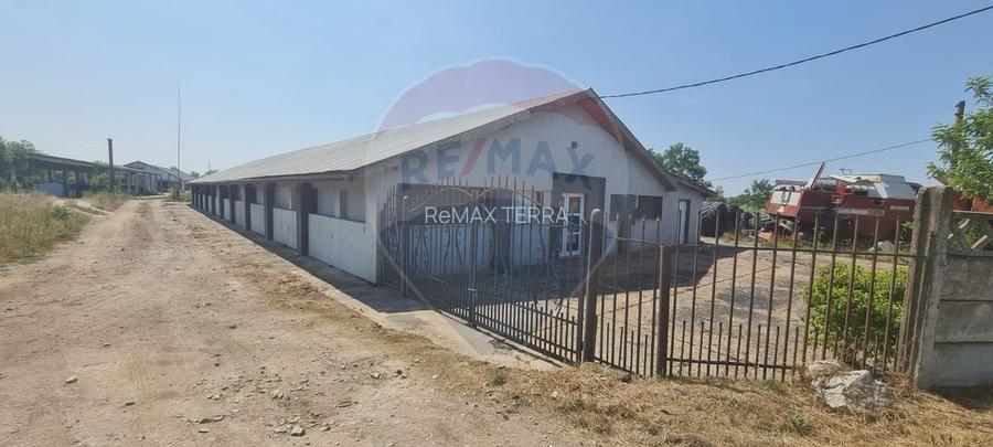 Hala de productie moderna de vanzare in Ulmeni - 2