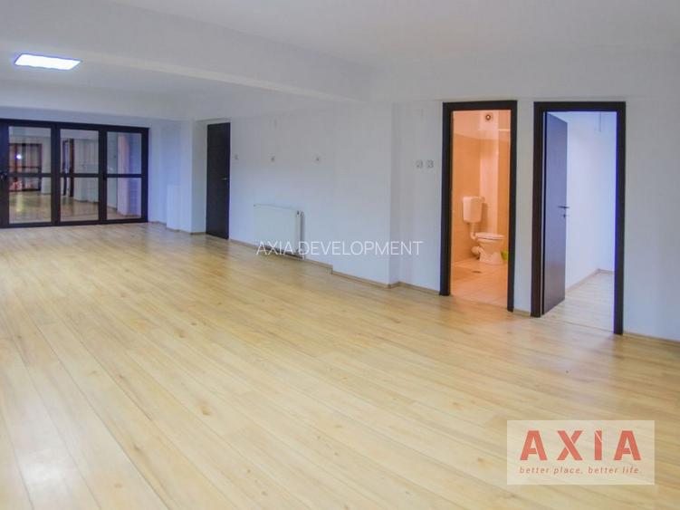 Cladire individuala - spatii deschise - Victoriei - Buzesti - 6