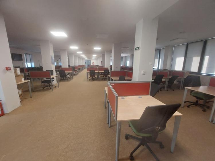 Bd. Mamaia, birouri PREMIUM