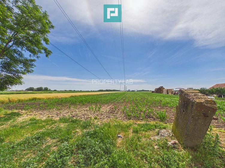 Teren extravilan 5000 mp, Arad - 7