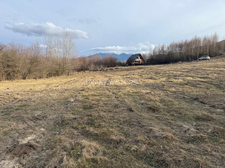 Teren intravilan 500 mp sau 1000 mp în Bran –Tohanita cu parau langa - 6
