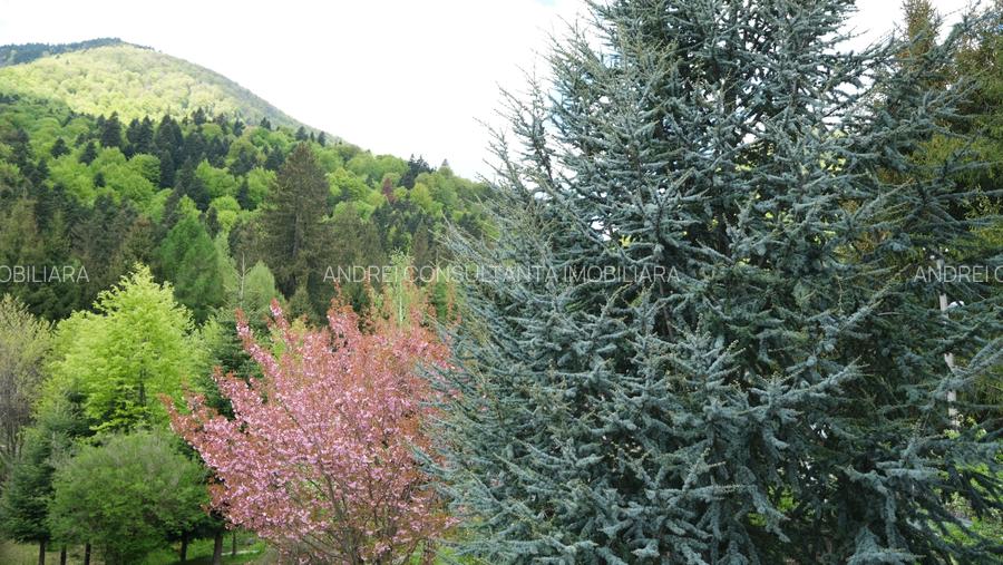 Vanzare 2 vile noi, mari superbe si 1905 mp teren la munte in Cheia Prahova - 26