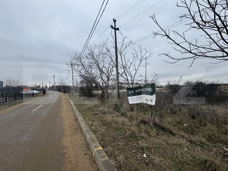 Teren intravilan pretabil industrial, 3600 mp, front 22,03 ml, Carcea - 2