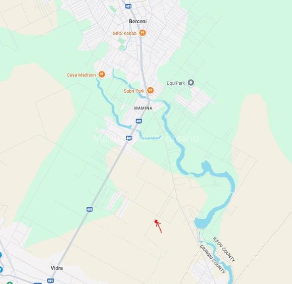 URGENT. Proprietar vand 3 loturi in com. Berceni /Vidra. Pret sub medie - 2