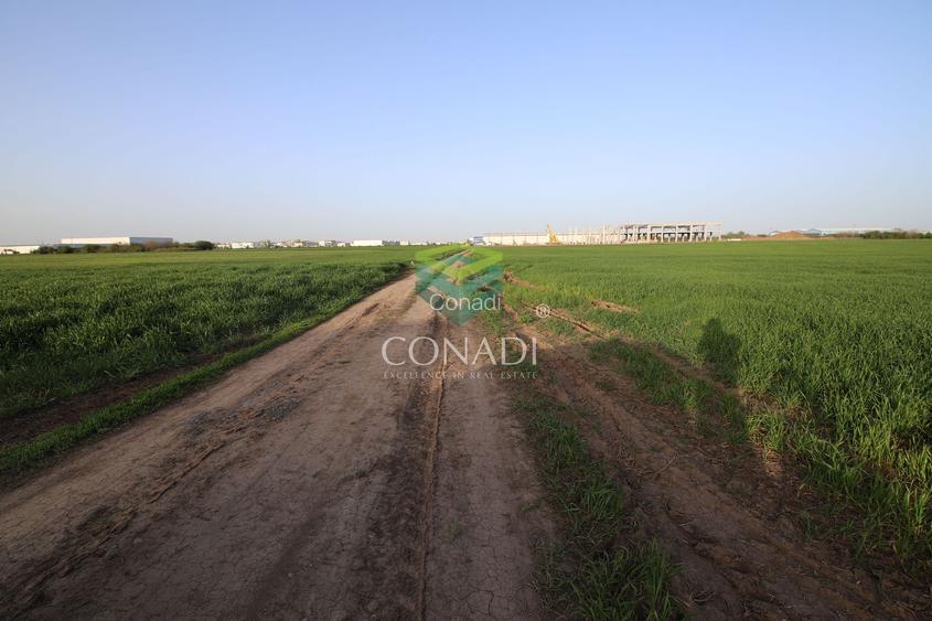 Teren Clinceni 5.792 mp - 2