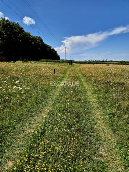 Comision 0 %, teren intravilan Sambata de Sus, ideal cabana weekend - 3