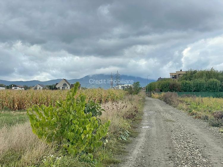 Teren industrial pretabil hala P.U.Z aprobat! - 5