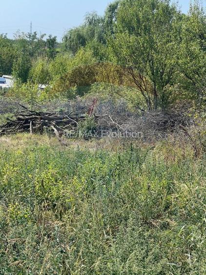 Teren de vanzare / 2,500 mp pe Malul Lacului Tancabesti /Ilfov - 9
