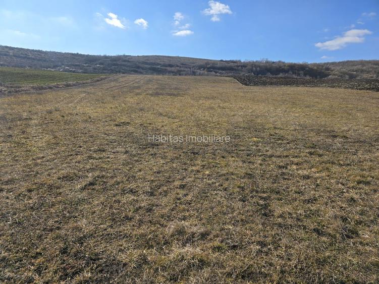 Teren de 10.100 mp, zona de case, in Valea Chintaului - 3