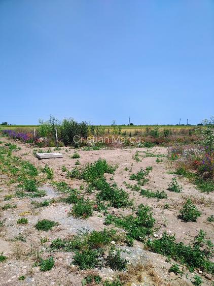 Intravilan 420m2 pe partea dreaptă  - 2