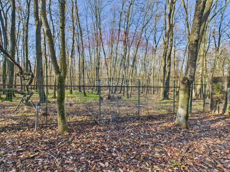 De vanzare | Vila in Paradisul Verde cu gradina si padure proprie | - 22