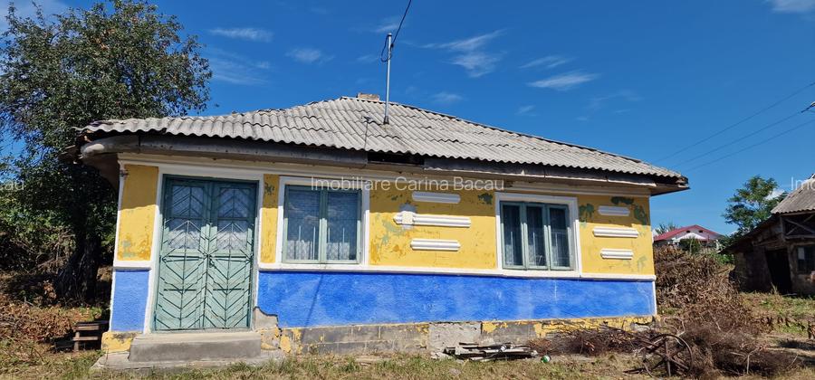 Casa+teren 1.626 mp loc Zapodia- Traian-40 m deschidere la strada - 3