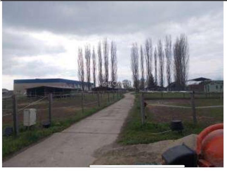 HUB Logistic intermodal 9,1 ha acces direct la DN 59/E70 JEBEL ,Timis - 15