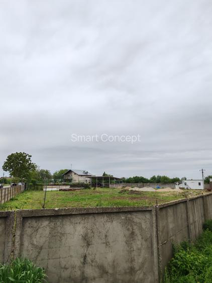 Casă + teren 4200 mp, vie, curent, fosa, anexă – Crevedia Mare, Giurgiu - 12