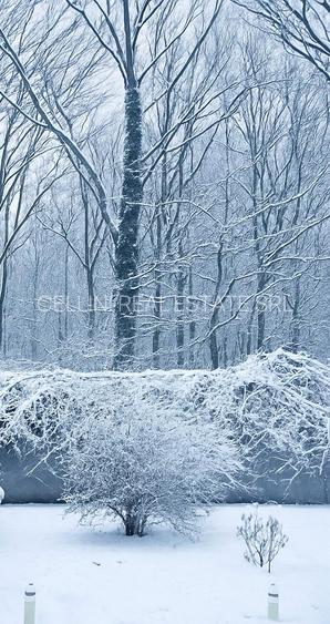 S1 Pădurea Baneasa Apartament Duplex în Vilă  Renovat Metro M6 Stația Bruxelles - 24