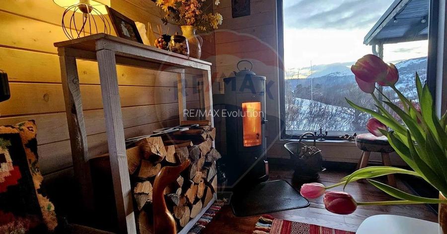 Casă / Vilă cu 2 camere de închiriat - 14