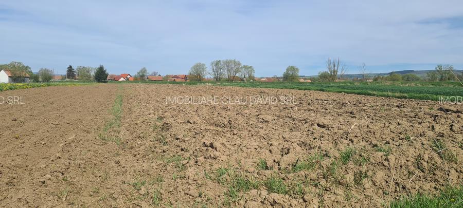TEREN EXTRAVILAN - 2.100 mp - RECI - 3