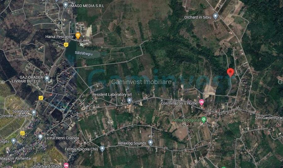 Teren intravilan de vanzare, la 1 min de str Gheorghe Doja, Saldabagiu de Munte - 2