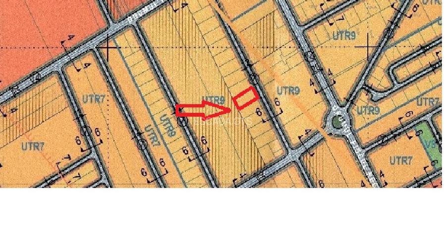 Pădurea Băneasa - 5