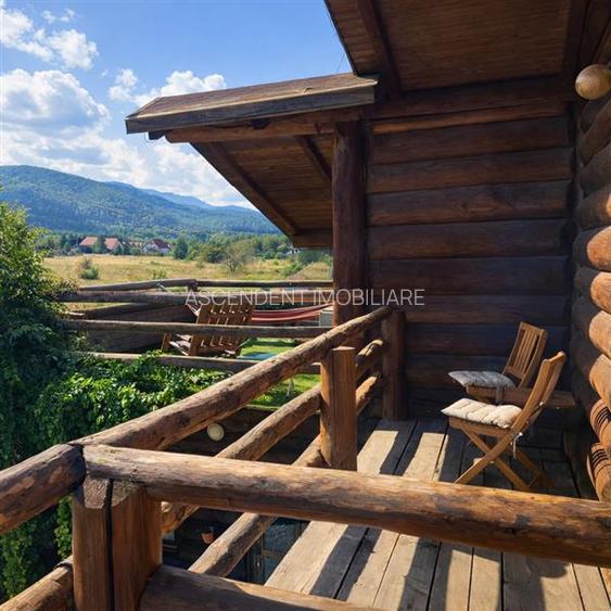 Resedinte montane,mobilate,echipate, jacuzzi,piscina,pretios areal,Sambata de Su - 10