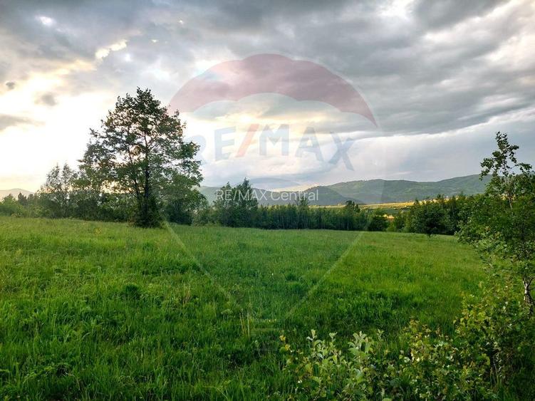 Teren Bran-Zarnesti - Tohanita, 4223mp - 5