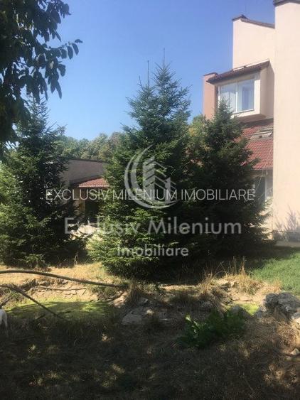 Casa la Padurea Rosu 650 Mp + Teren ideal Activitati Comerciale/Birouri - 9