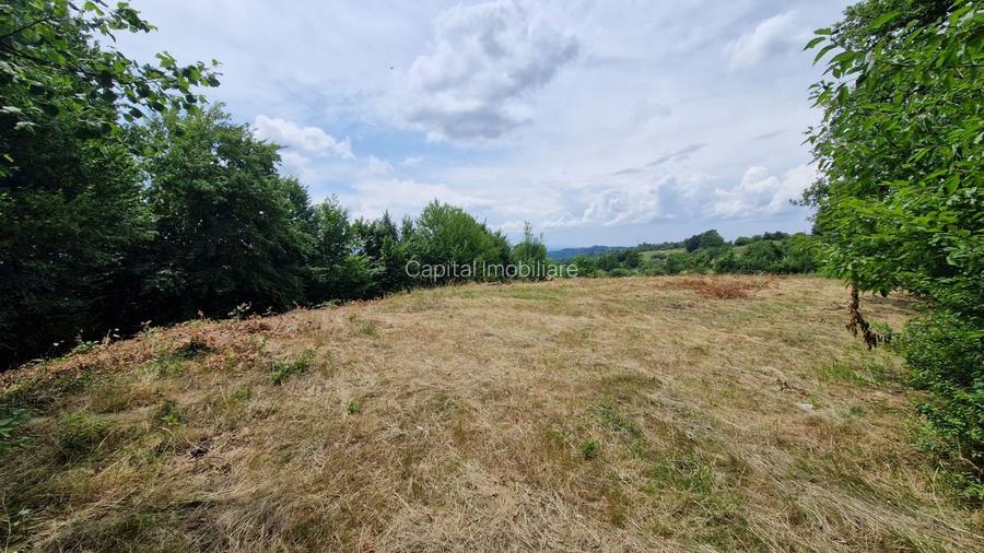 Teren Baia Sprie: 5143 mp, Parcelabil, Comision 0! - 4