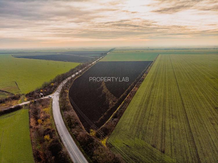 Teren la sosea cu 420 m front stradal - 3