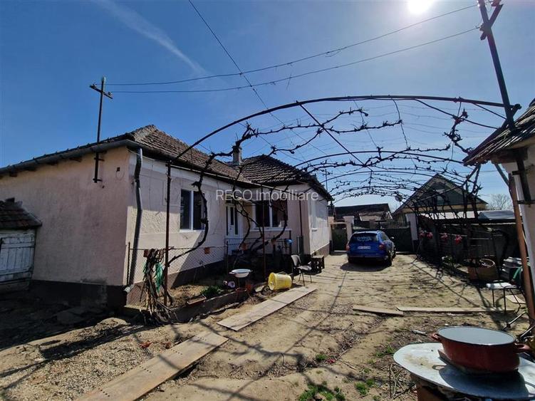 Teren mare cu 2 case in Sabolciu, com. Sacadat - 15